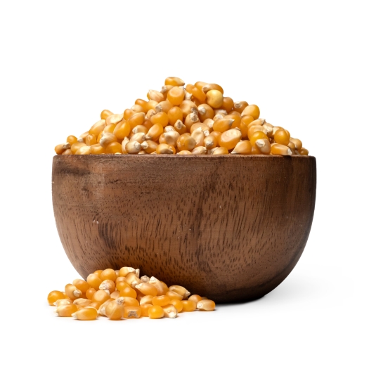 Kukuřice na popcorn